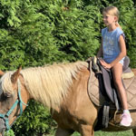 images/thumbsgallery/lovaglas_24.JPG